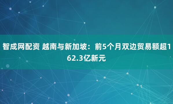 智成网配资 越南与新加坡：前5个月双边贸易额超162.3亿新元